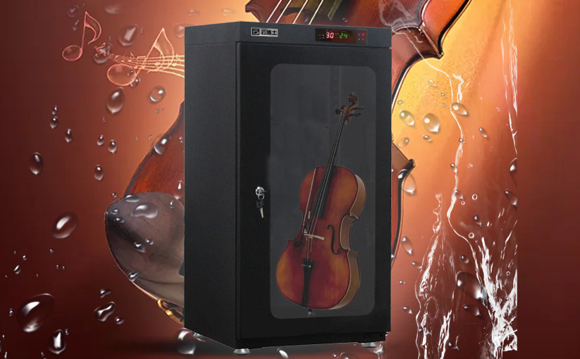 梅雨季节如何避免小提琴发霉？在潮湿或干燥的环境下如何保护好你的提琴?